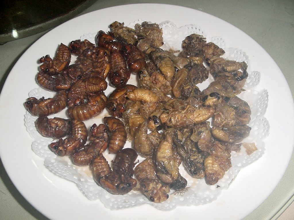 Insects as a Protein Source in Asia (image credits: wikimedia)