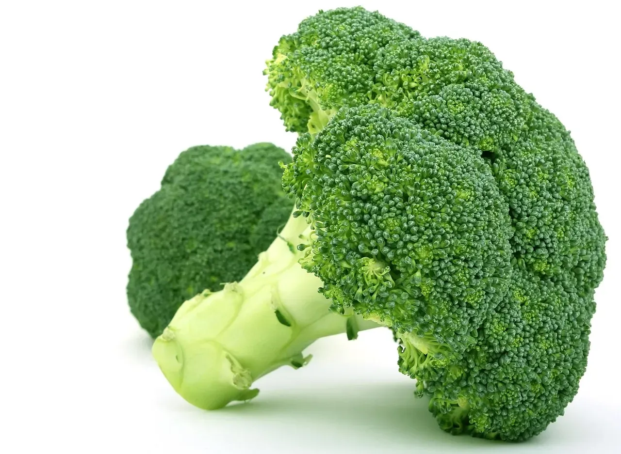 5. Broccoli Stems: The Woody Stalk That Packs a Serious Nutritional Punch (Image Credits: Pixabay)