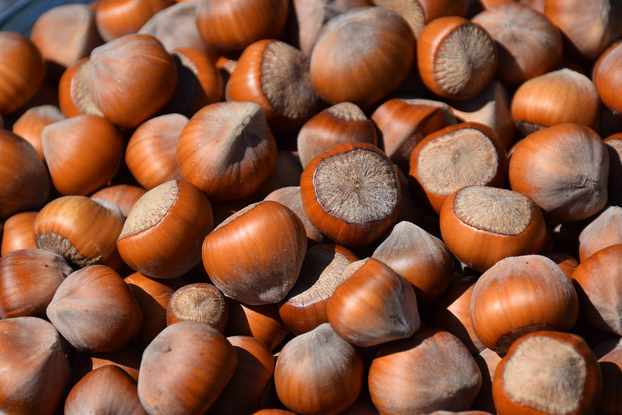 Hazelnuts: Rich in Healthy Fats and Fiber (image credits: pixabay)
