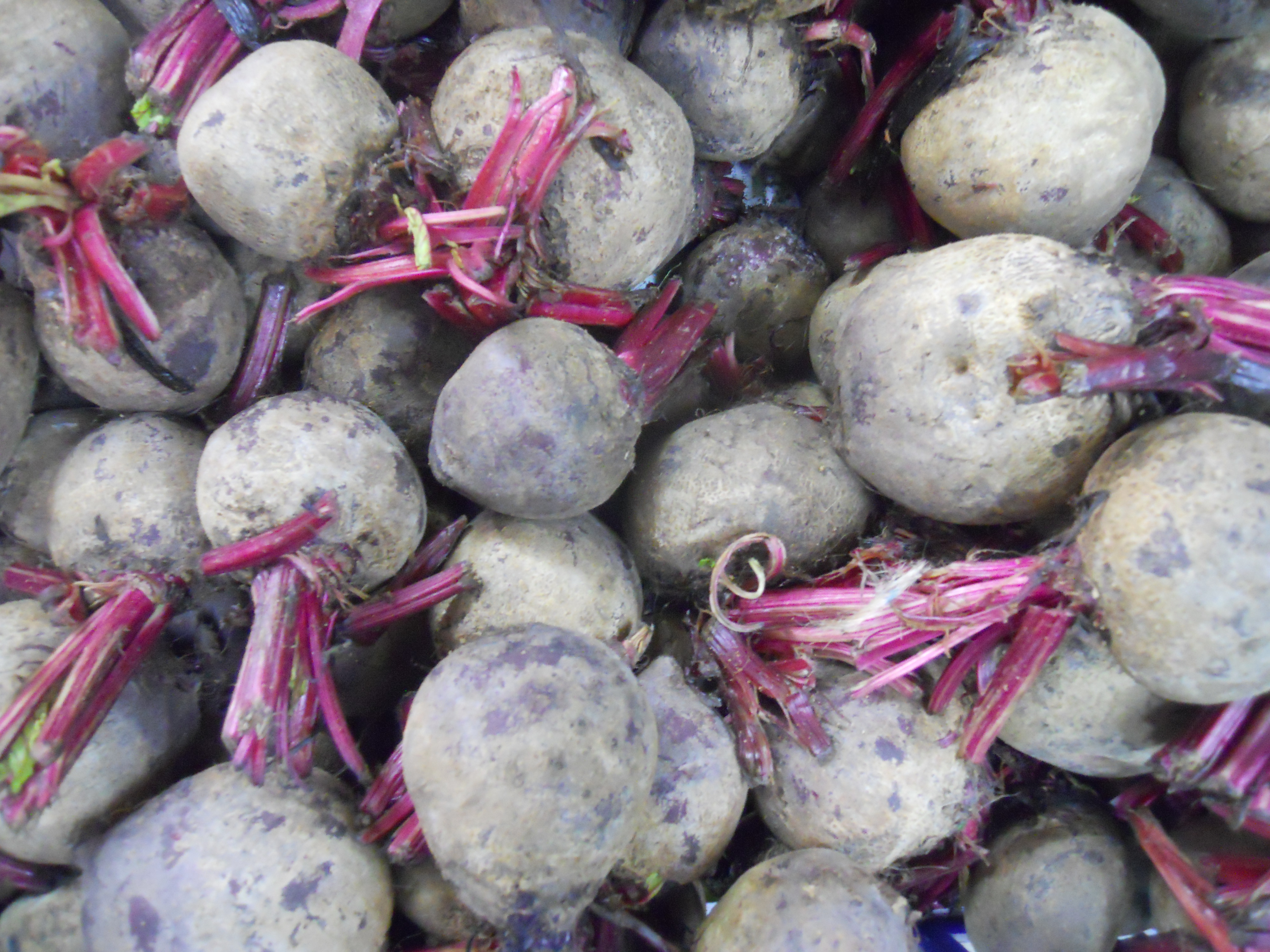 Beets: The Nitrate-Rich Root (image credits: wikimedia)