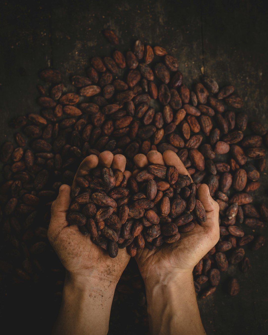 Cocoa Flavanols (Non-Alkalized) (image credits: unsplash)