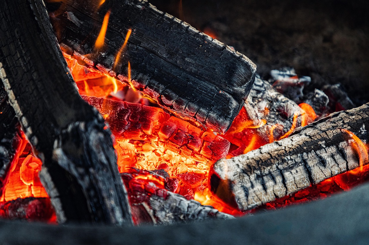 Wood Selection and Regional Identity (image credits: pixabay)