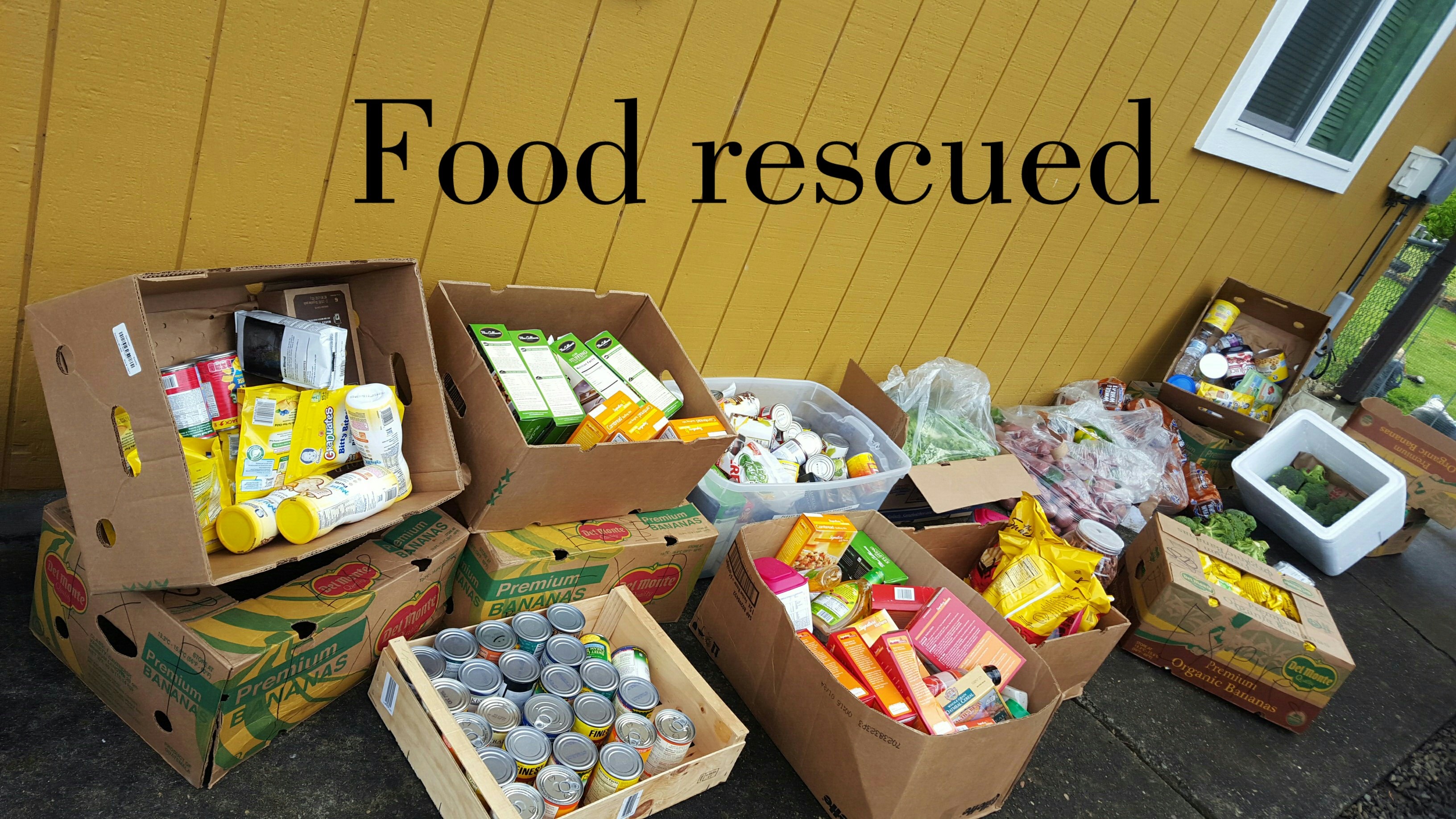 Donate Surplus Food (image credits: wikimedia)