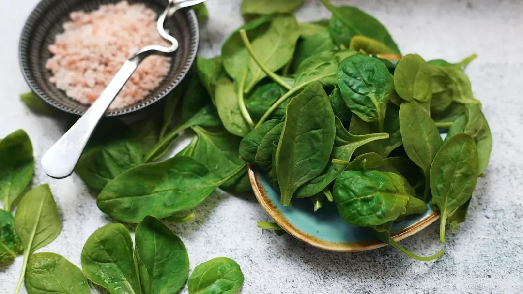 Spinach: The Bonus Green That Hits 90 Percent Water Too (Image Credits: Unsplash)
