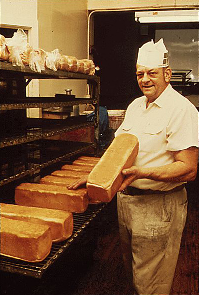 Expert Opinions: What Professional Bakers Say (image credits: wikimedia)