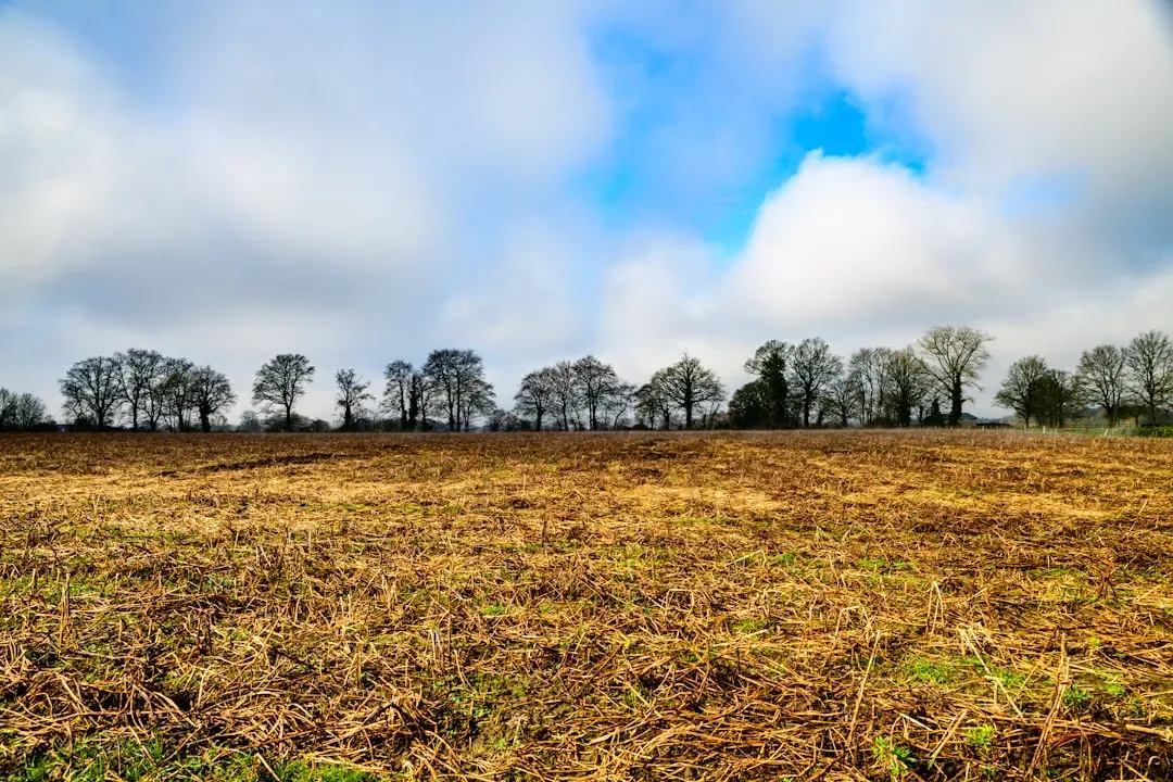 Conclusion: The Five Foods That Could Define Human Survival Beyond Earth (Image Credits: Unsplash)