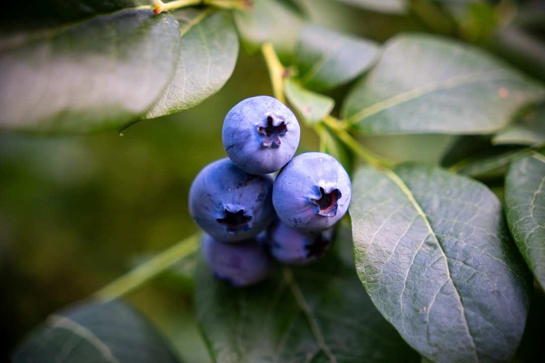 Real-World Results People Are Seeing (image credits: unsplash)