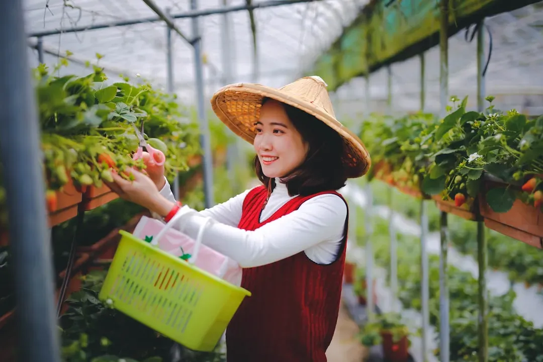 The Certification Costs Nobody Talks About (Image Credits: Unsplash)