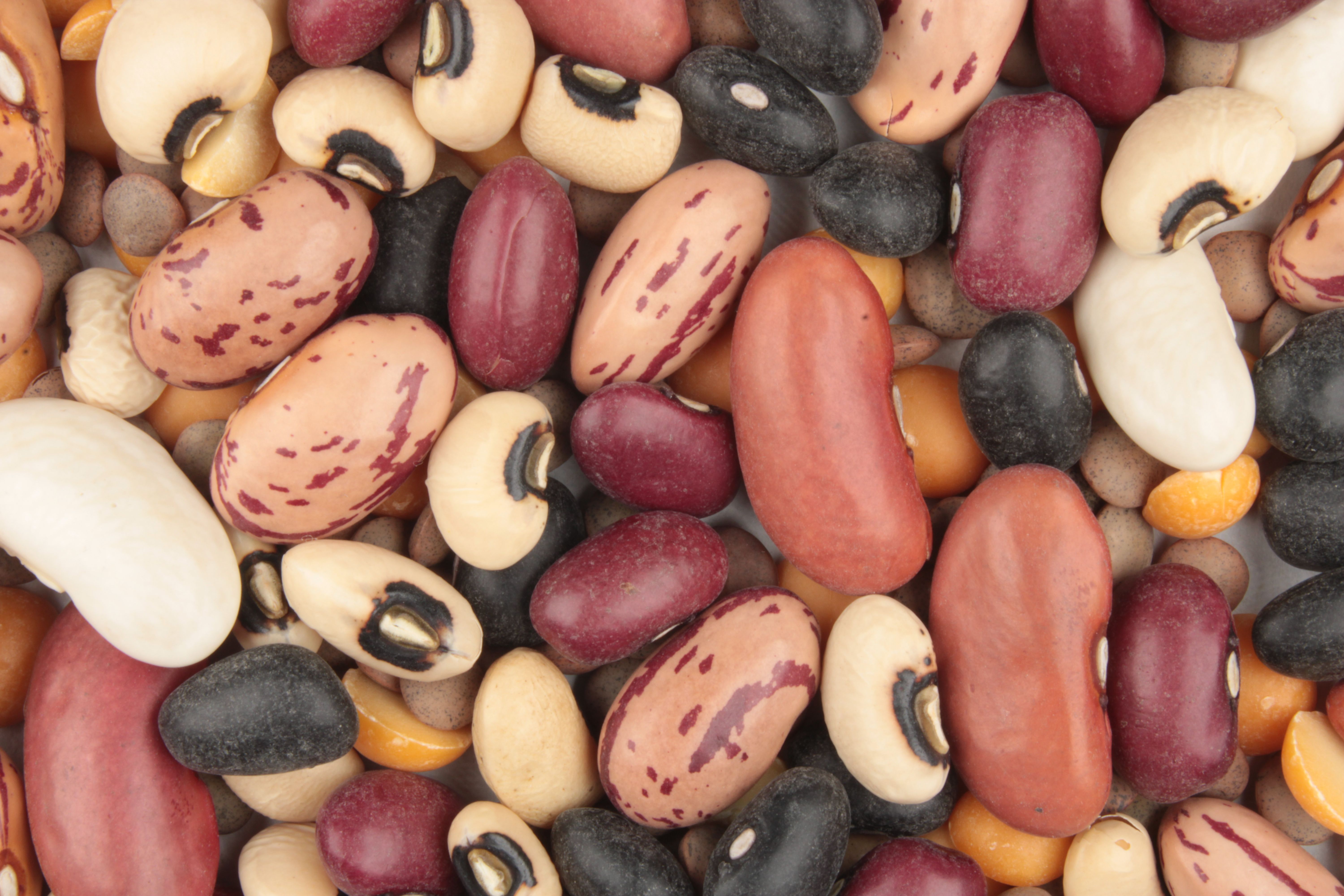 Mycotoxins in Grains and Nuts (image credits: wikimedia)