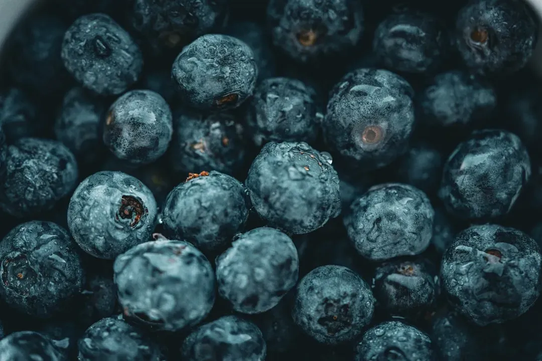 How Berries Actually Work in the Brain (Image Credits: Unsplash)