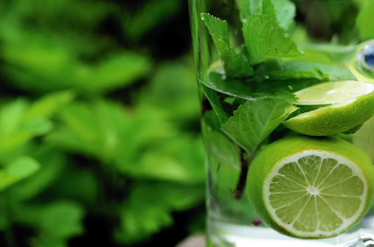 Mint: The Unstoppable Grower (Image Credits: Pixabay)