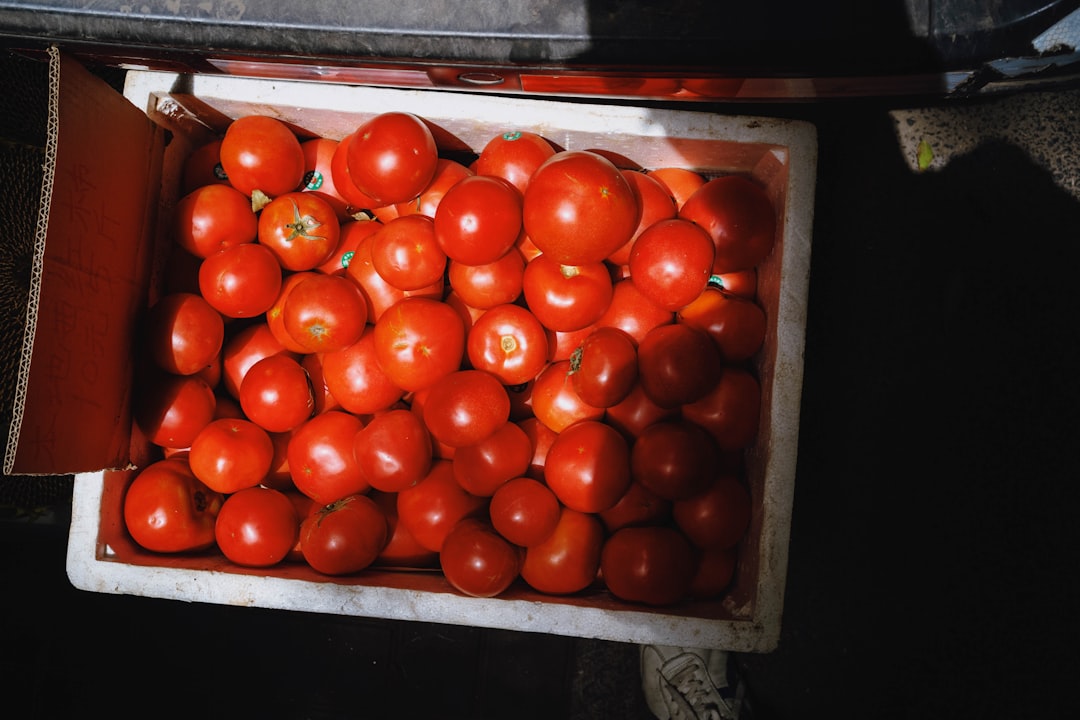 Tomatoes Lose Flavor in Cold Storage (image credits: unsplash)
