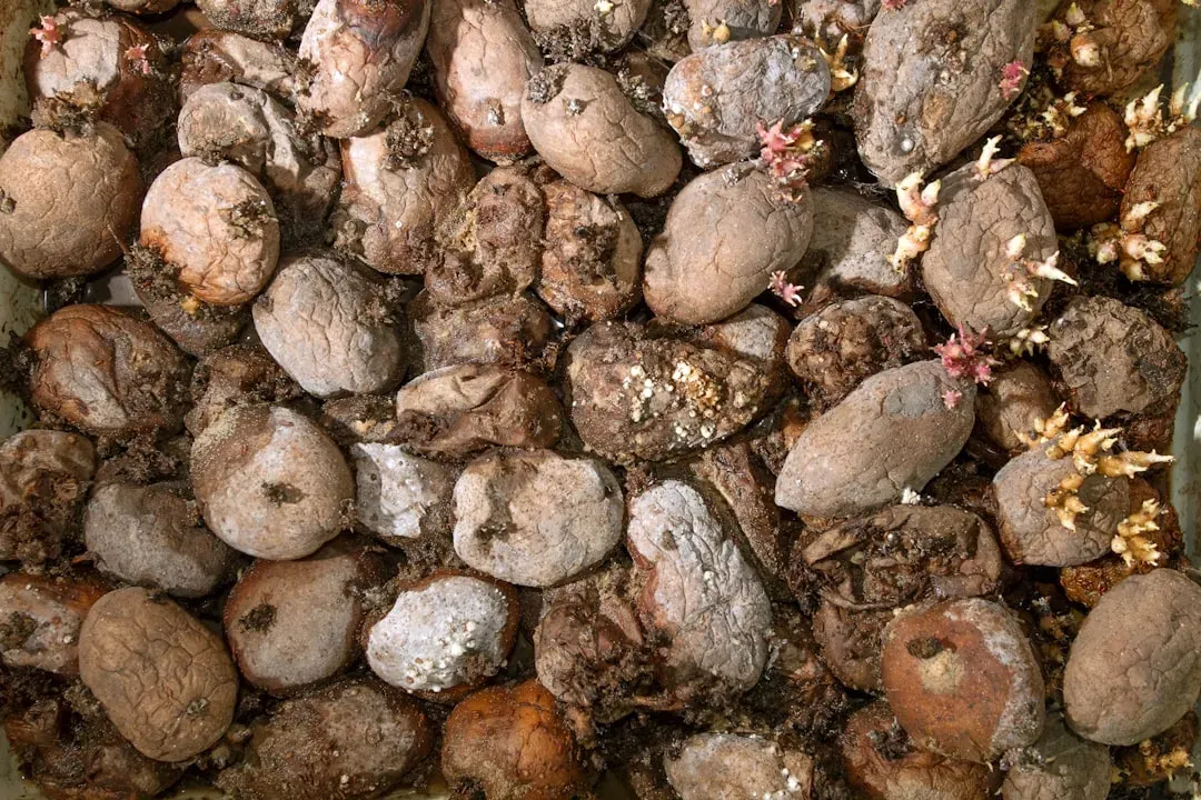 A Global Waste Crisis That Starts at Home (Image Credits: Unsplash)