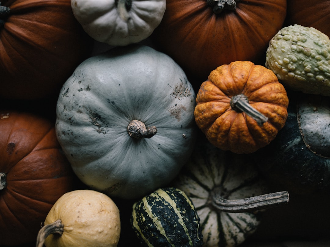 Seasonal Baking and Ingredient Availability (image credits: unsplash)