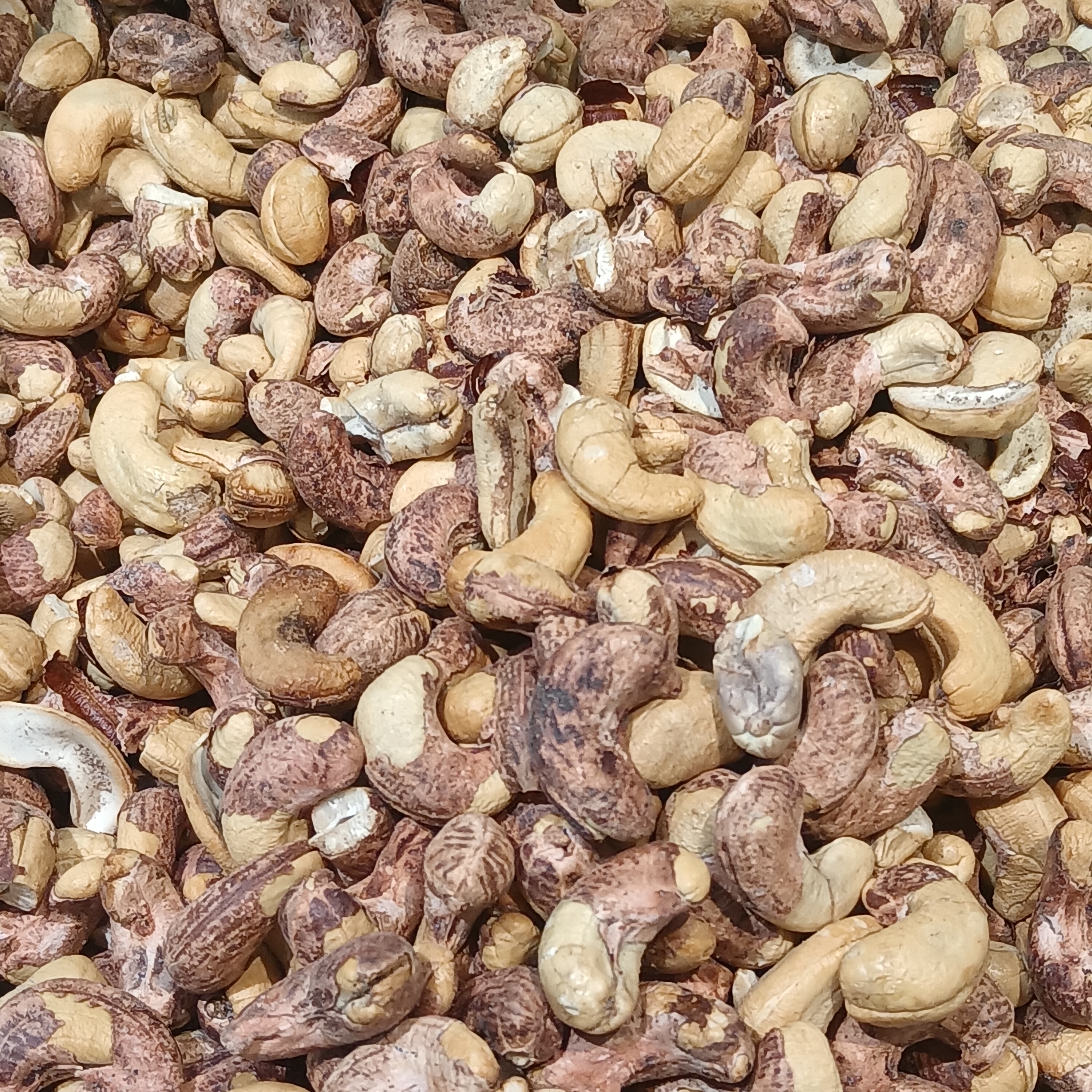 9. Cashews (image credits: wikimedia)