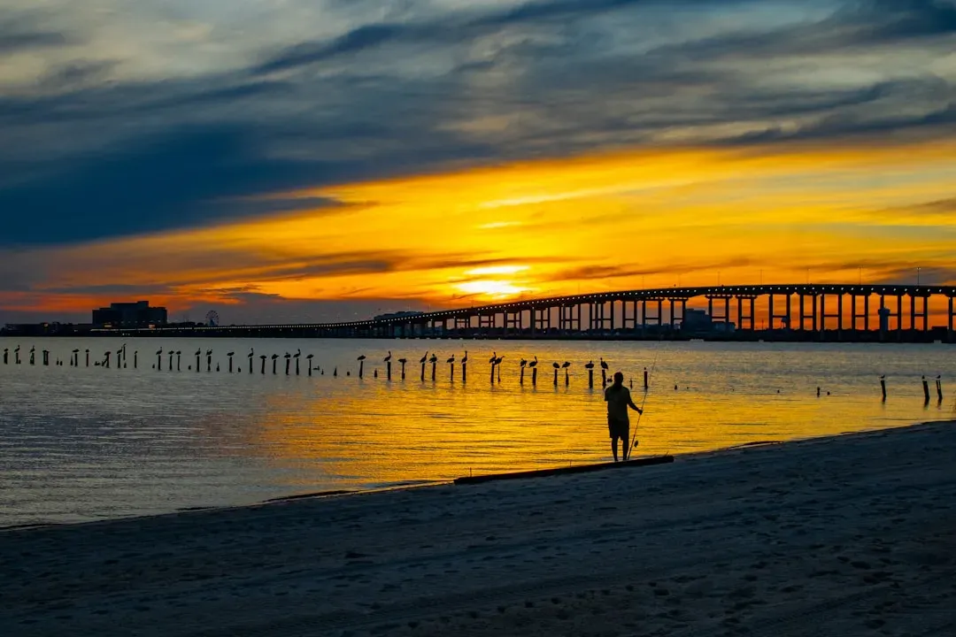 8. Ocean Springs, Mississippi - The Artsy Gulf Town That Cooks Brilliantly (Image Credits: Unsplash)