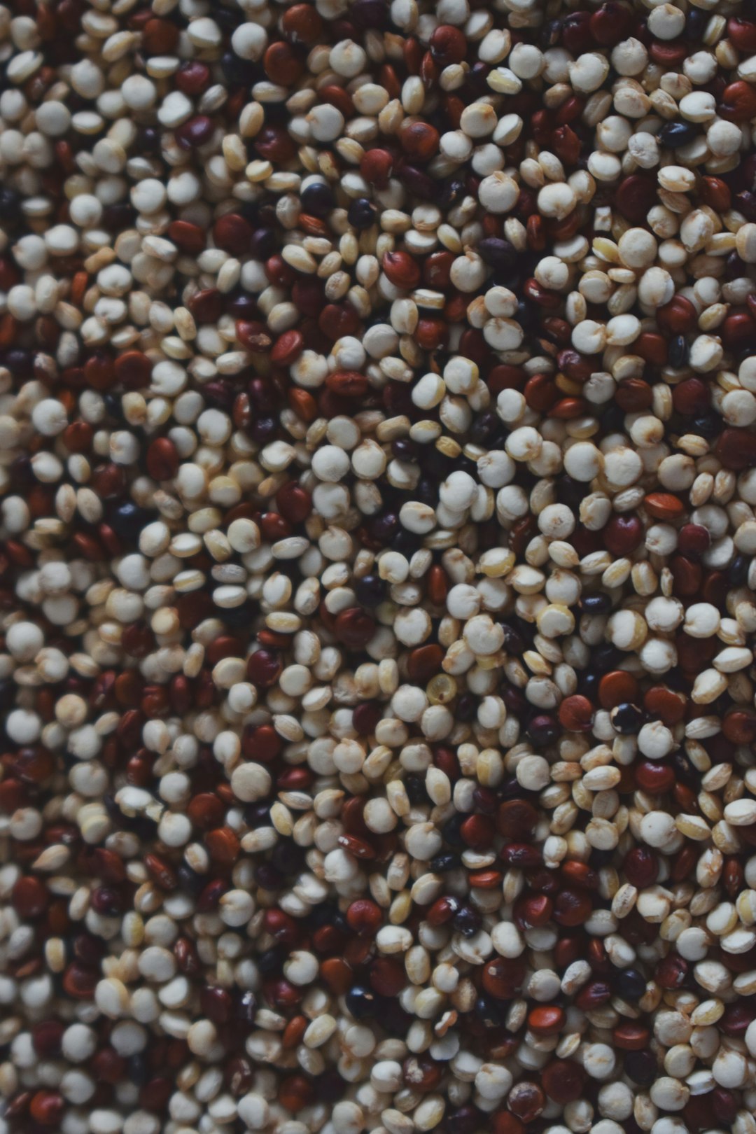 Quinoa: The Ancient Grain of Strength (image credits: unsplash)
