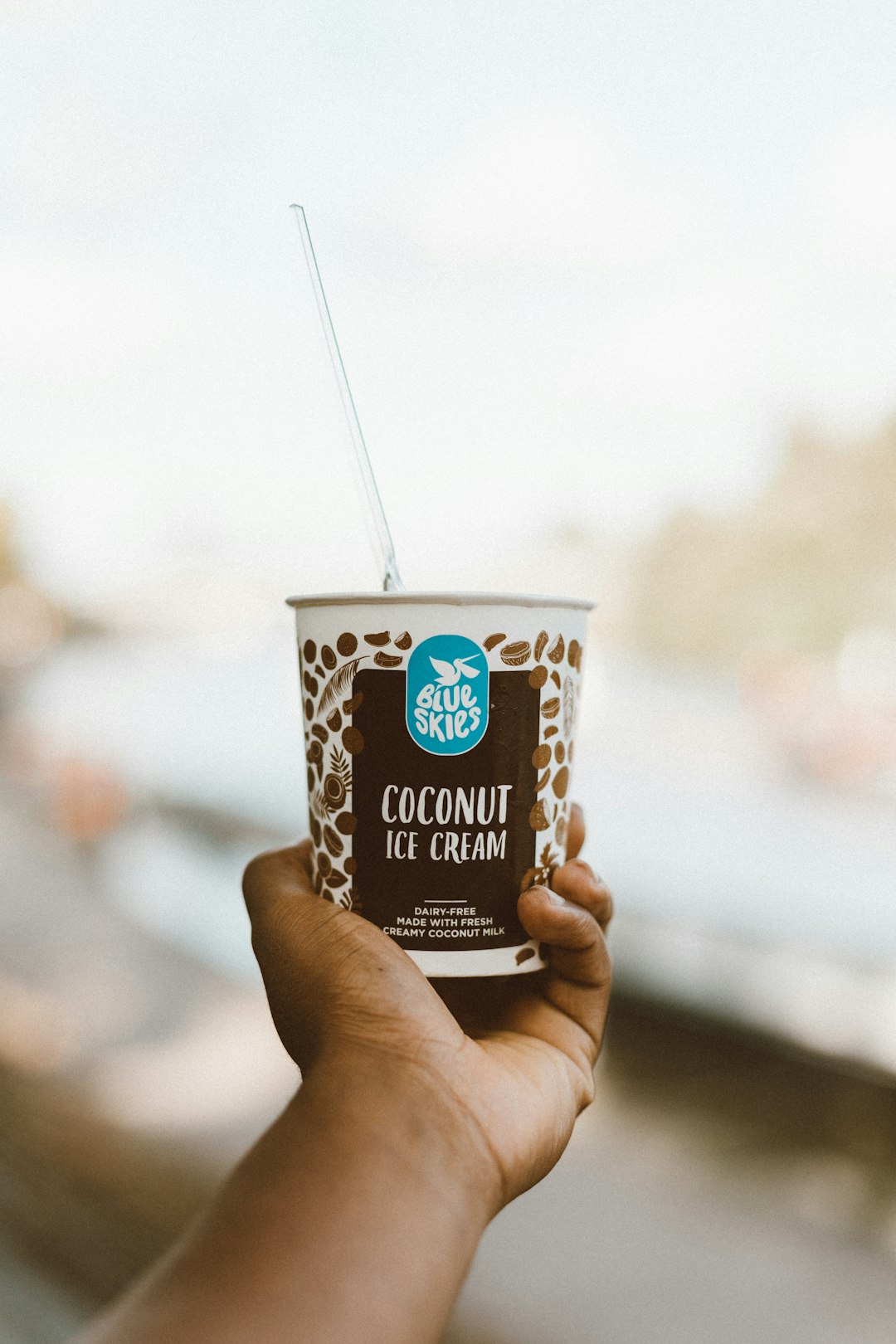 Coconut Milk Ice Cream: A Dairy-Free Dream (image credits: unsplash)
