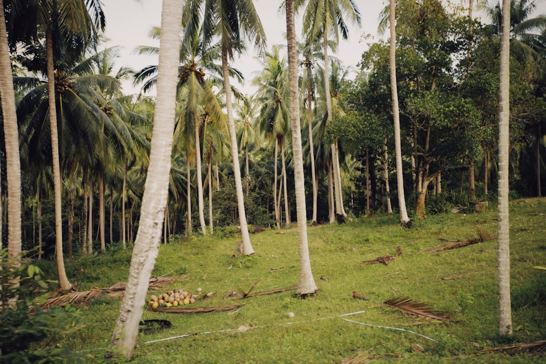 Marshall Islands: Fighting Diabetes in Paradise (image credits: unsplash)