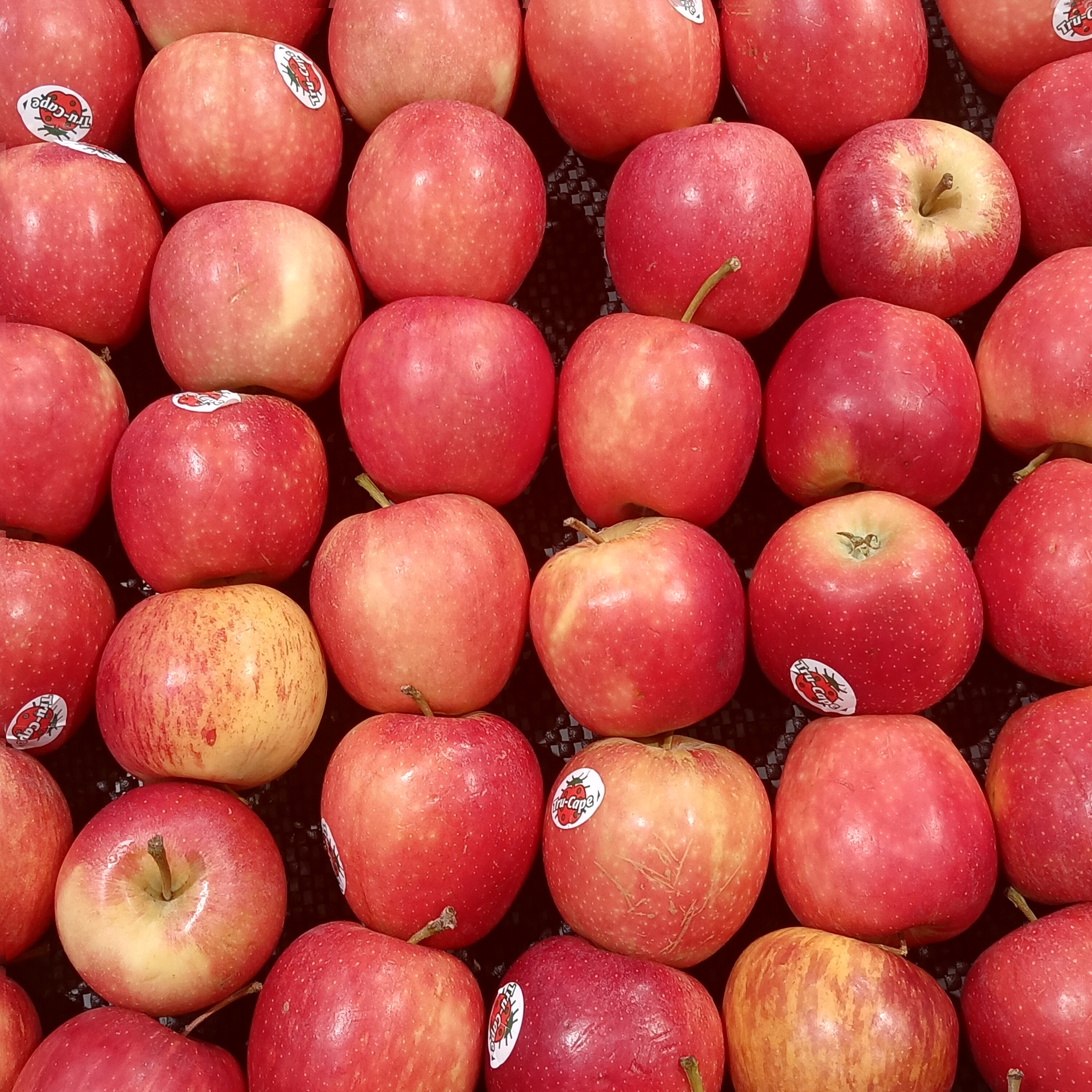 Apples: Everyday Fruit With Extraordinary Heart Benefits (image credits: wikimedia)