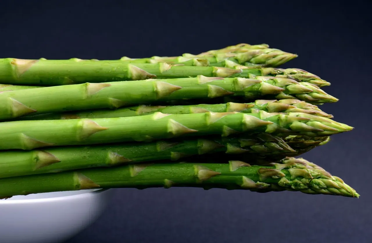 7. Asparagus - High Fructans, Slow Relief (Image Credits: Pixabay)