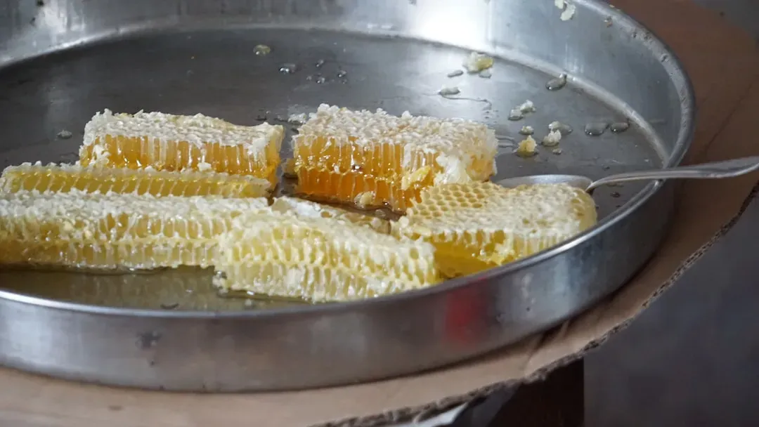 Buttered Corn Drowning in Salted Butter (Image Credits: Unsplash)