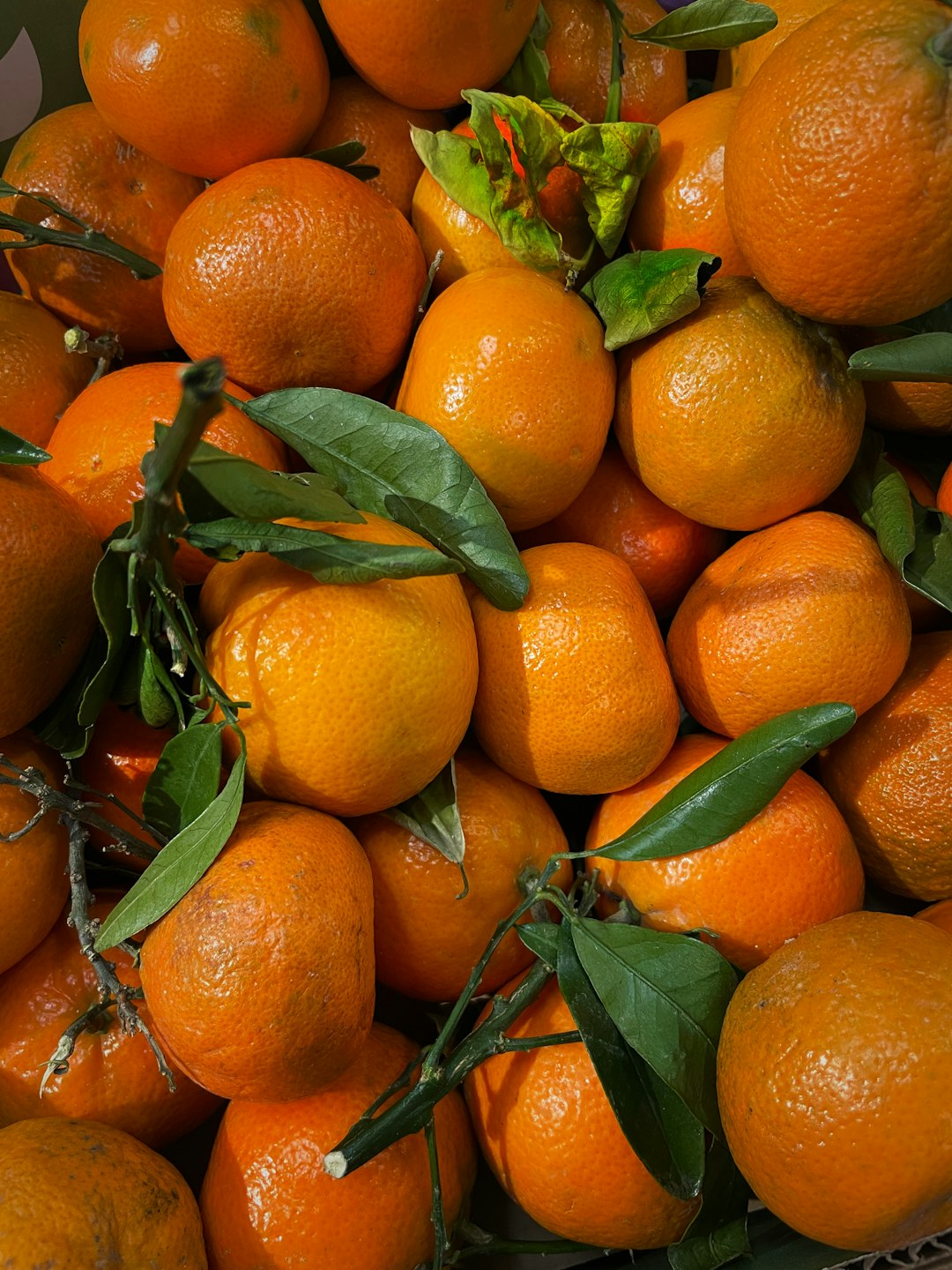 Vitamin C Powerhouses for Peak Performance (image credits: unsplash)