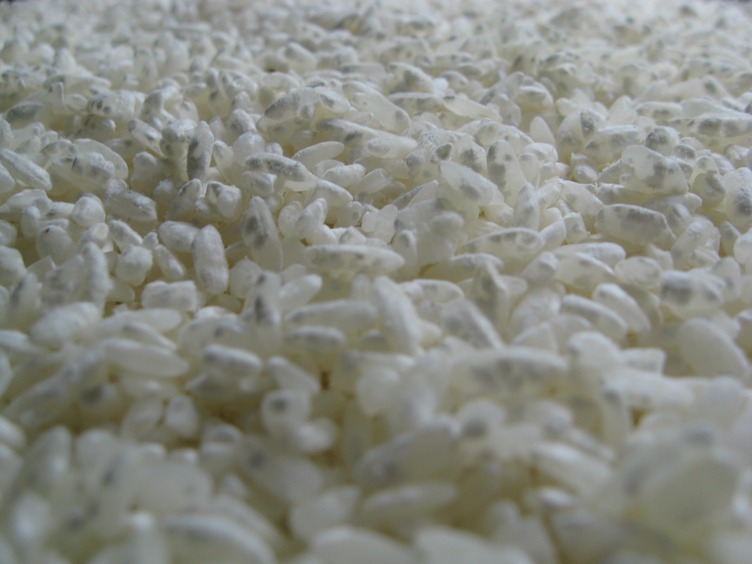 Sustainability: Why Fermentation Matters for the Planet (image credits: wikimedia)