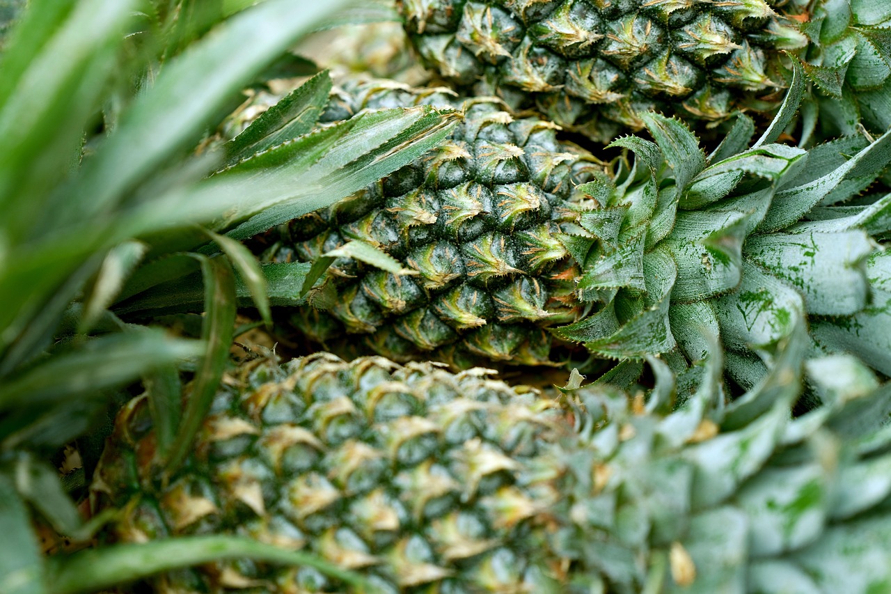 Pineapple: Tropical Delight (image credits: pixabay)