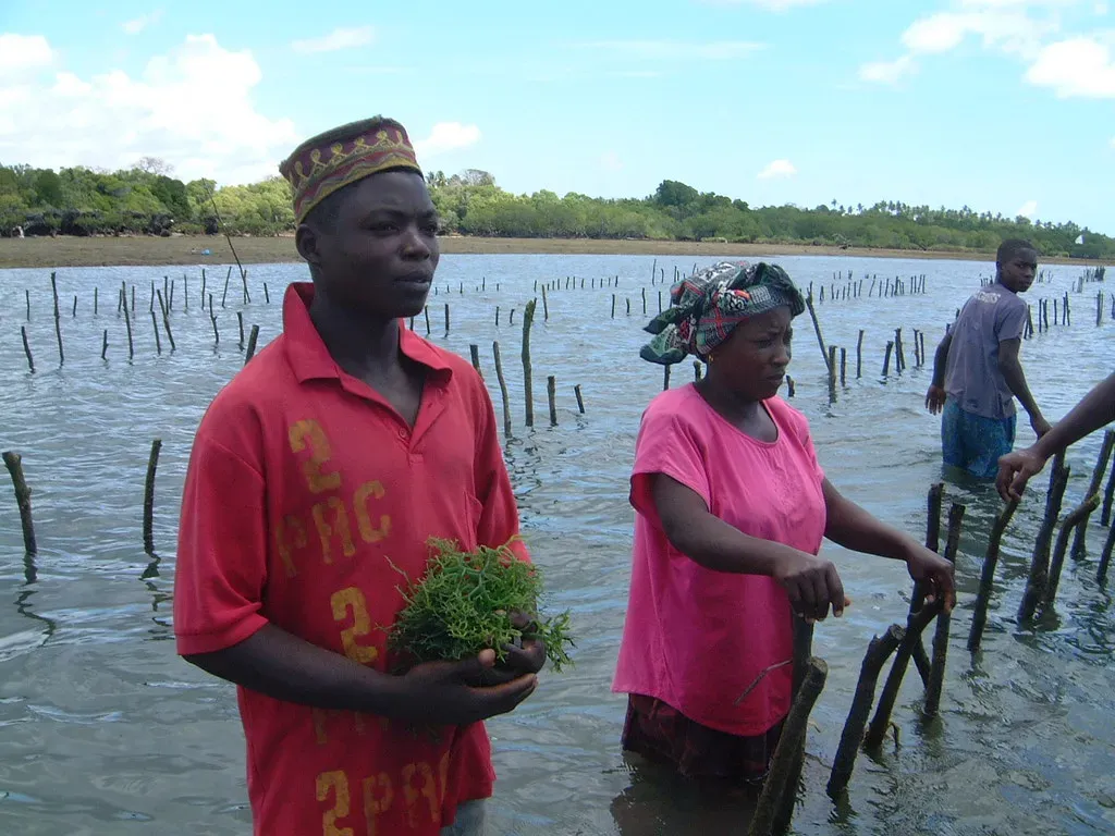 Seaweed Farming: America's Fastest-Growing Aquaculture Sector (Derek Keats, Flickr, CC BY 2.0)