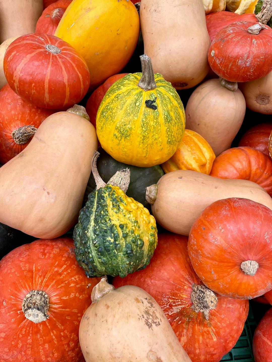 The Future of Food is Seasonal (image credits: unsplash)