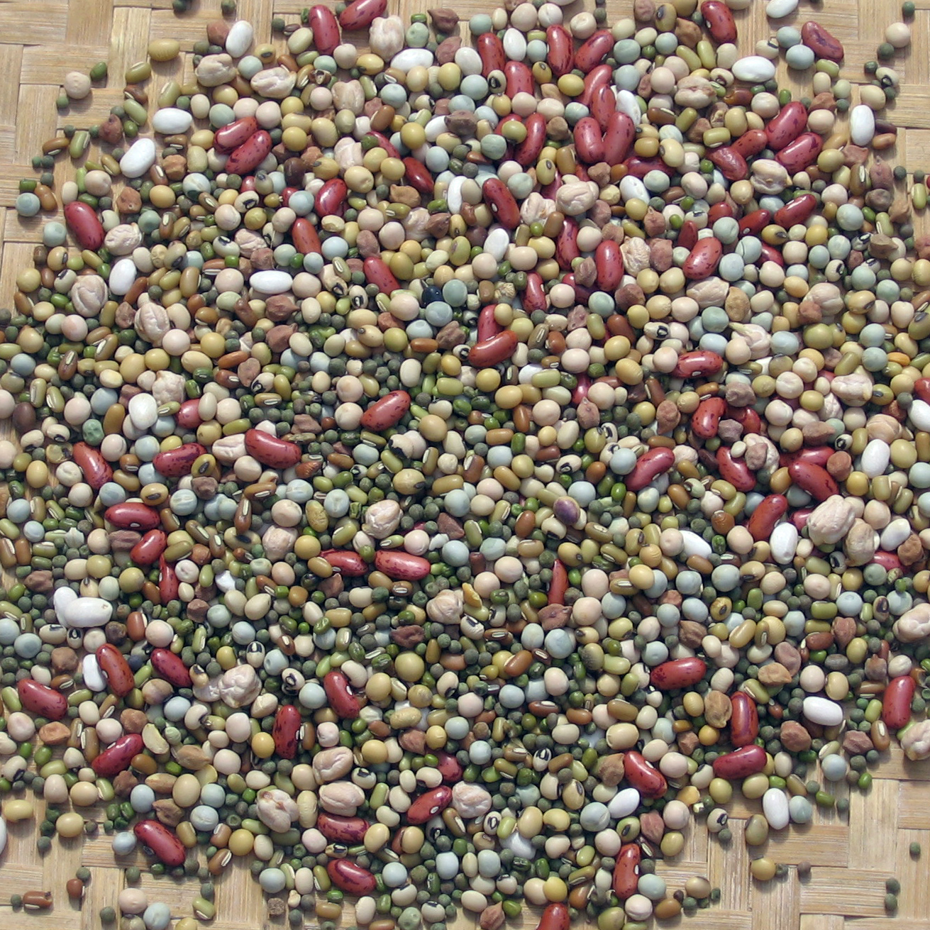Eat More Beans and Legumes (image credits: wikimedia)