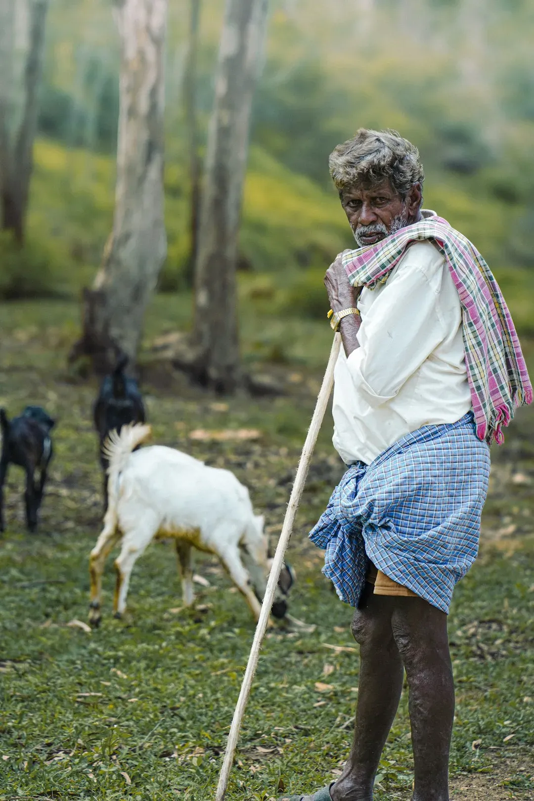 The Goat Herder Who Changed the World (Image Credits: Unsplash)