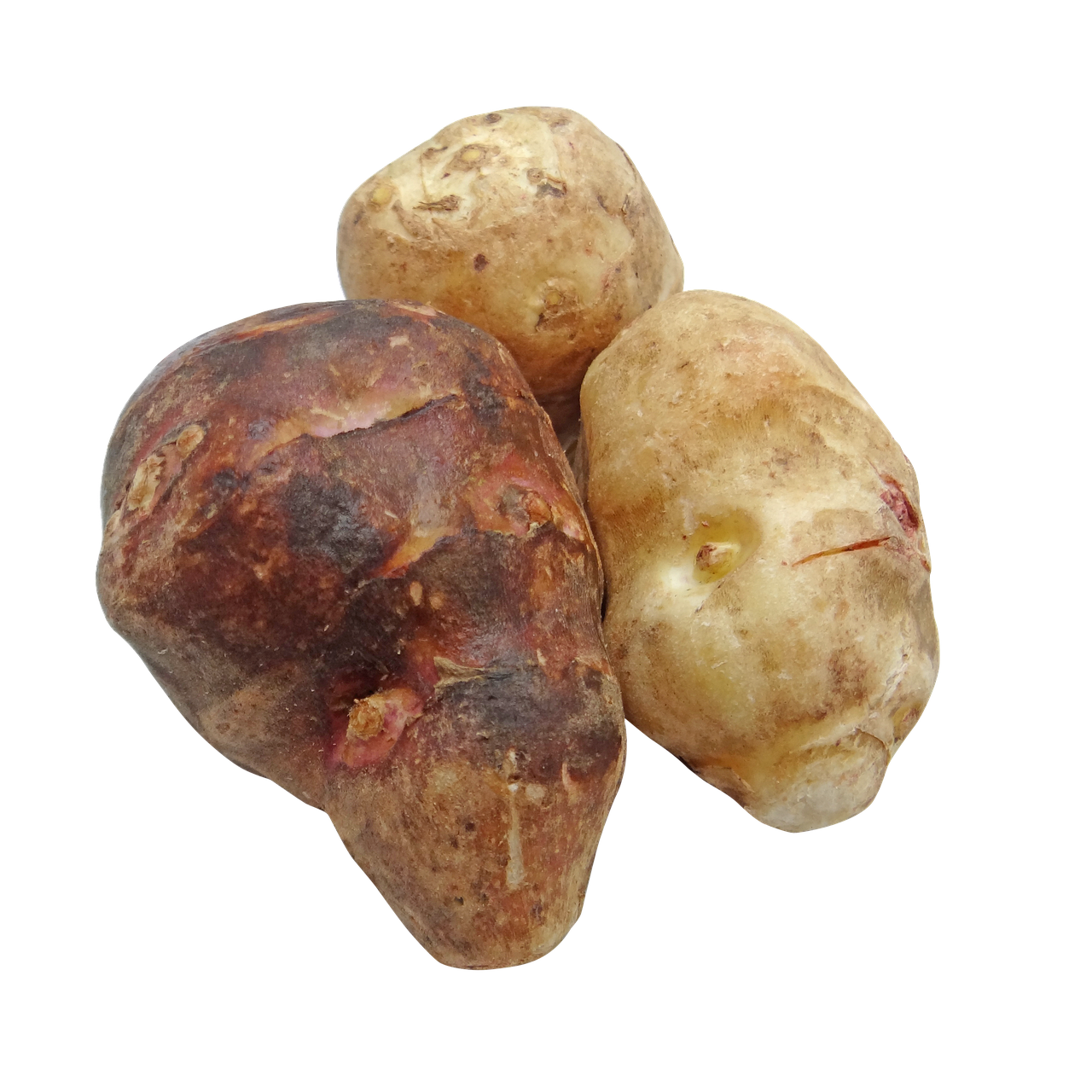 Sunchokes (Jerusalem Artichokes) (image credits: pixabay)