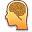 Your Brain Is Nearly 60% Fat - And It's Starving Without Quality Fats (image credits: wikimedia)