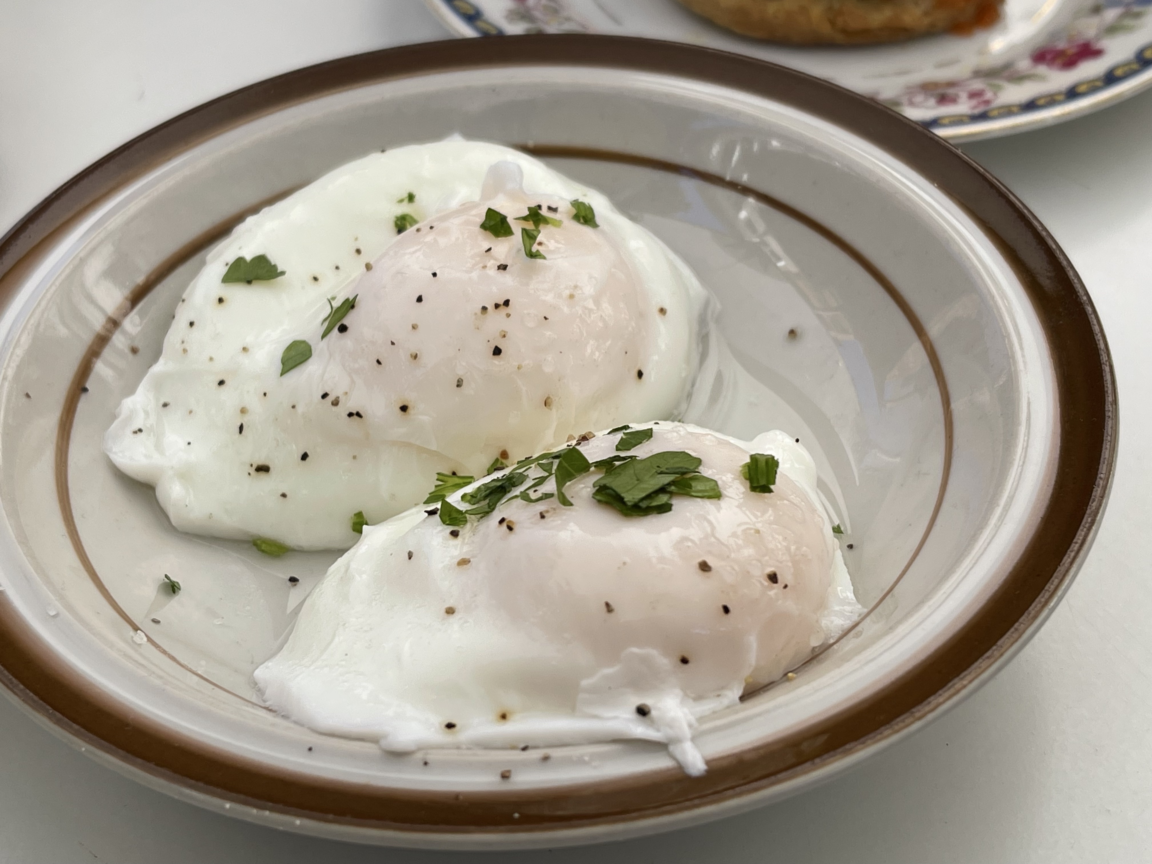 Eggs: Nature’s Protein Powerhouse (image credits: wikimedia)