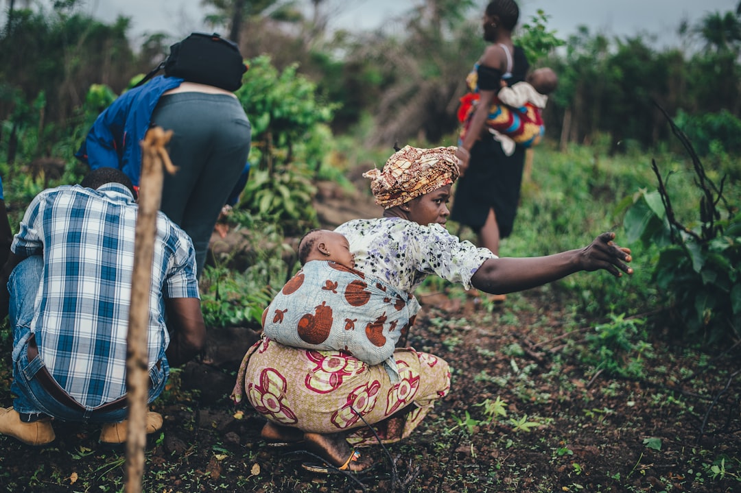 The Return of Black-Owned Farms: A Surprising Resurgence (image credits: unsplash)