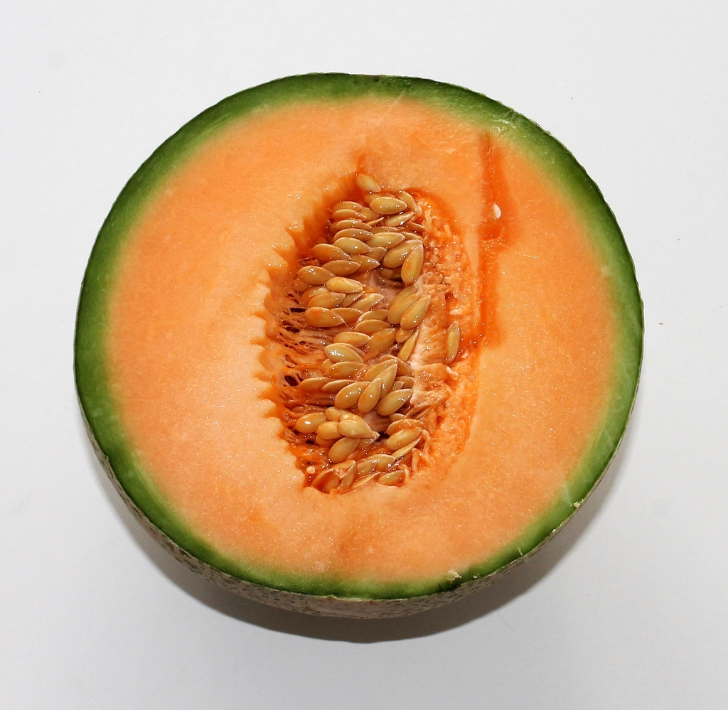 6. Cantaloupe - The Moderate Middle Ground (image credits: rawpixel)