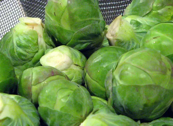 4. Brussels Sprouts: Small Vegetable, Real Risk in Raw Form (Maggie Hoffman, Flickr, CC BY 2.0)