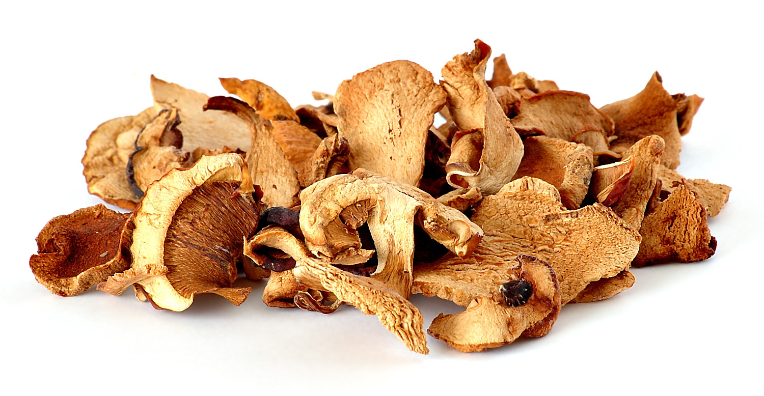 Mushrooms (image credits: wikimedia)