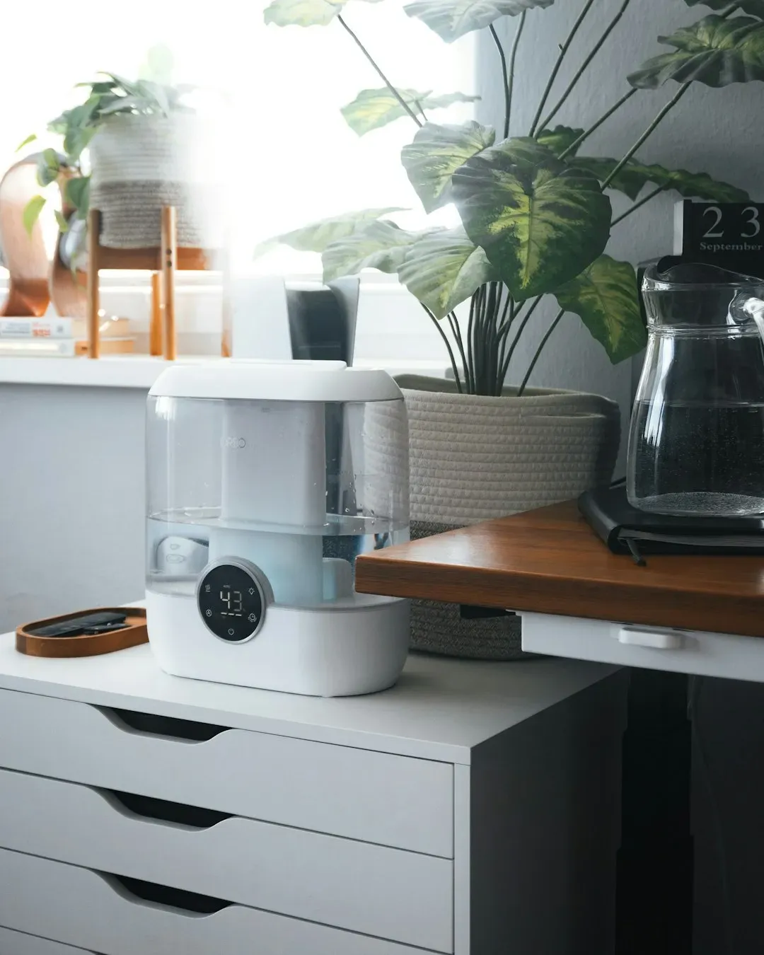 4. The Vegetable Chopper and Spiralizer (Image Credits: Unsplash)