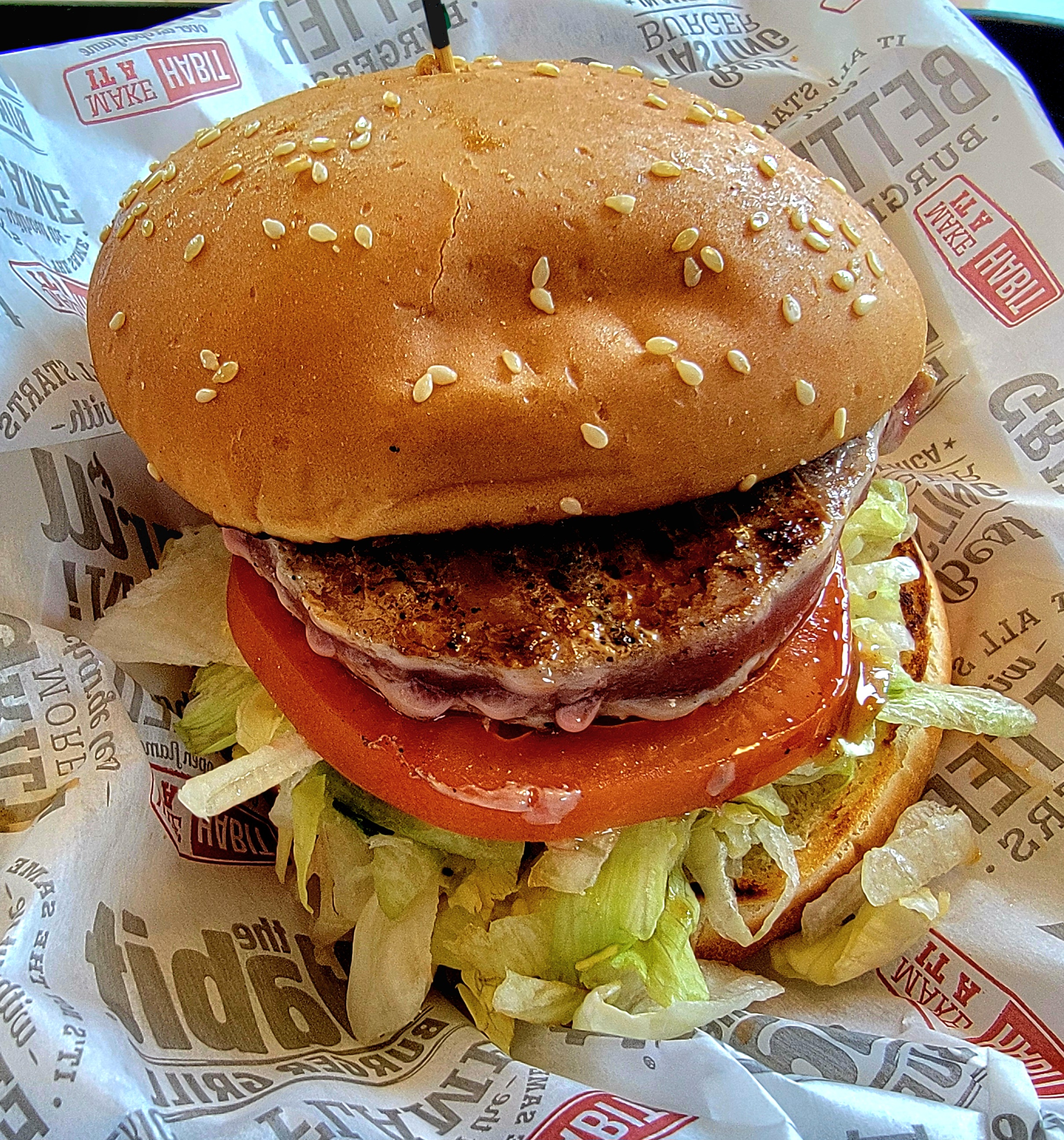 Grilled Fish Sandwiches: Omega-3s on the Menu (image credits: wikimedia)