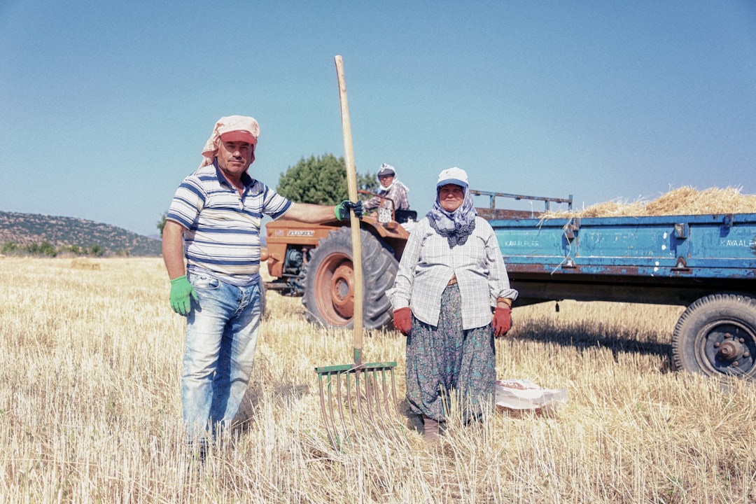 Economic Opportunities for Small Farmers (image credits: unsplash)