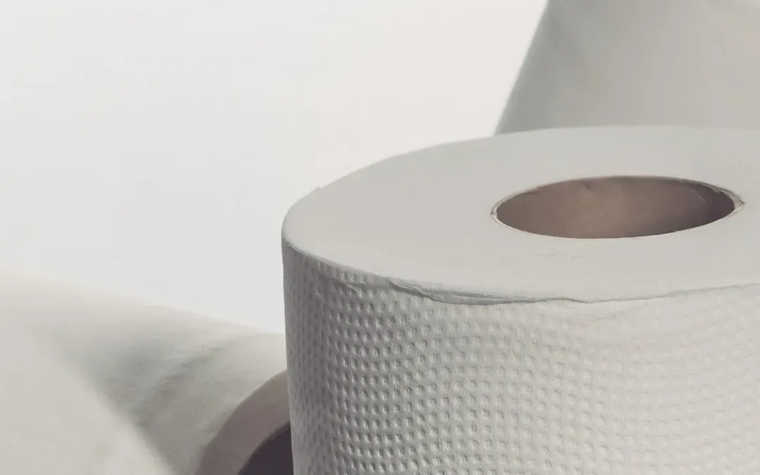 6. Paper Towels and Toilet Paper: Fewer Sheets, Same Roll Count (Image Credits: Unsplash)