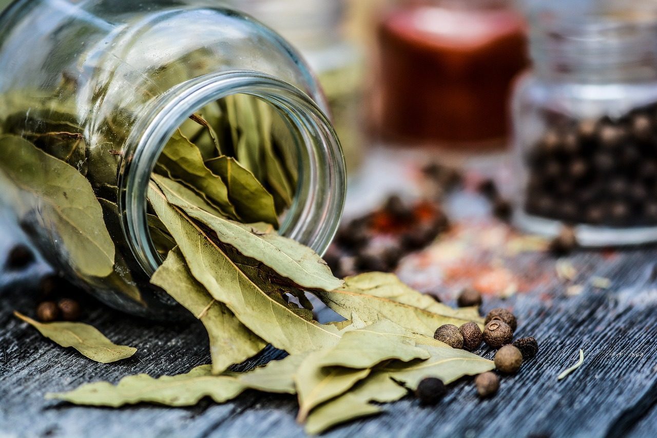 Bay Leaves Pack Hidden Aromatic Complexity (Image Credits: Pixabay)
