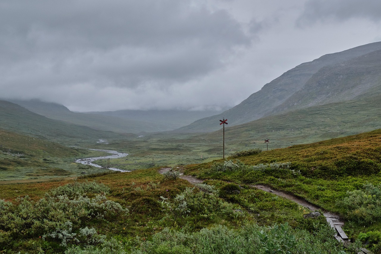 The Allure of the Unknown: Why We Can't Resist (image credits: pixabay)