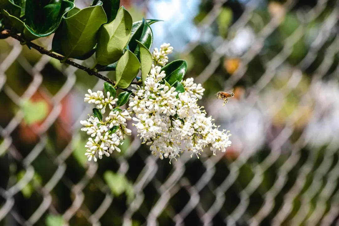 MeliBio and the Mellody Brand: The Company Leading the Charge (Image Credits: Unsplash)