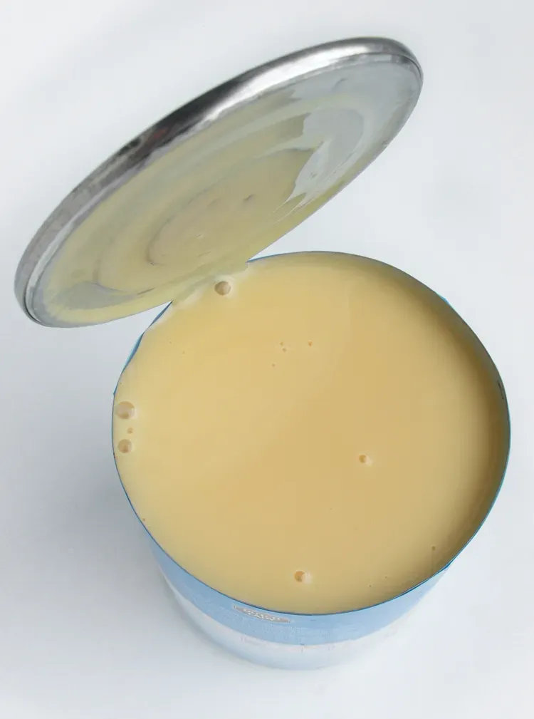 Condensed Milk for Everything (Image Credits: Wikimedia)