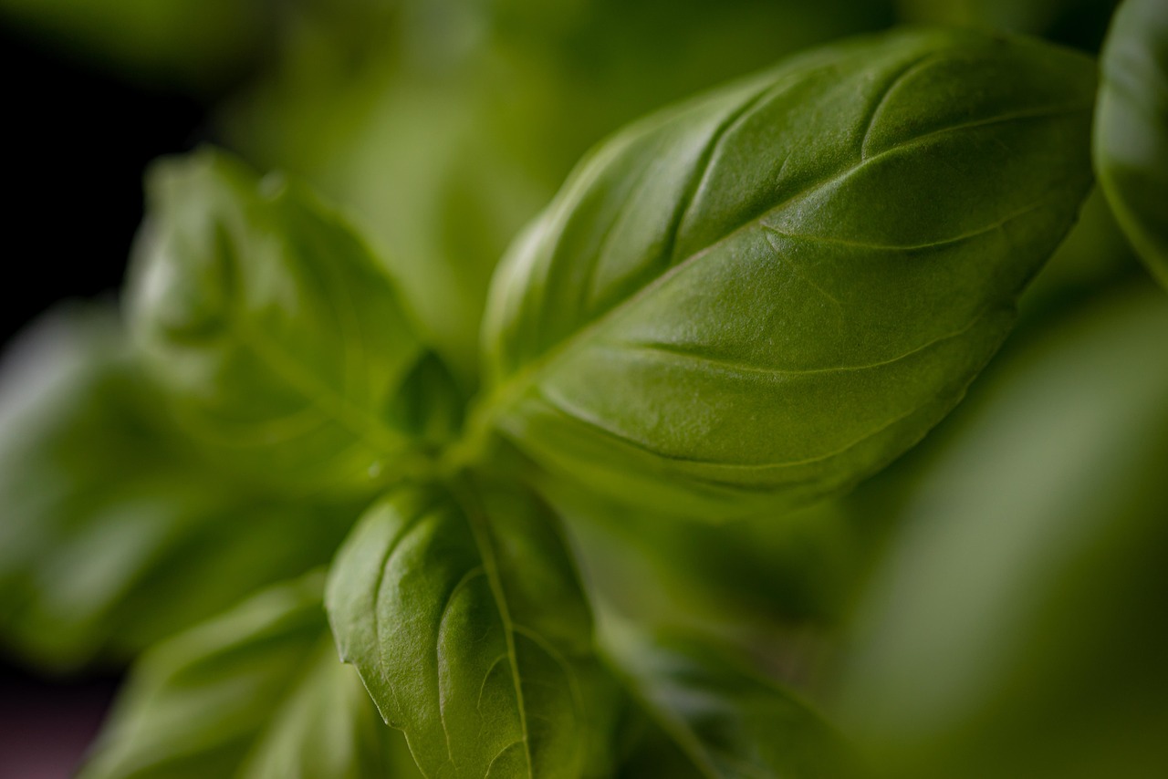 Pesto — The Green Goddess That Turns Into Green Mush (image credits: pixabay)