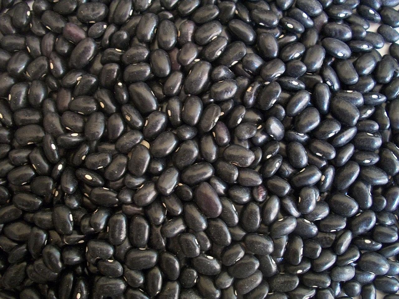 Legumes: The Powerhouse Proteins That Pack Flavor (image credits: pixabay)
